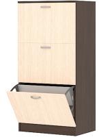 Фото kollektsiya-mebeli-vega-interer-tsentr обувница вега об-2 производитель Интерьер-центр