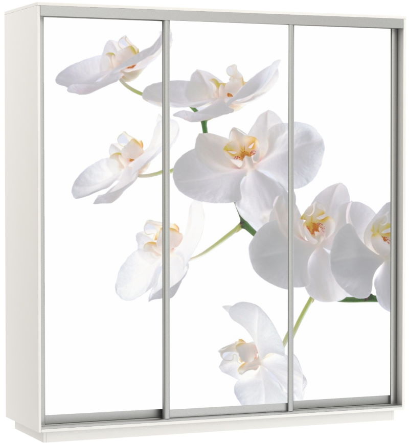 Фото Шкаф-купе Экспресс Трио Фото (2,4х0,6х2,4 - 3 двери) от производителя Мебельная компания Е1 в Крыму по цене 63 870 ₽